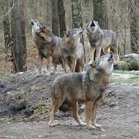 Affittacamere Gaestehaus Hess - Kleine