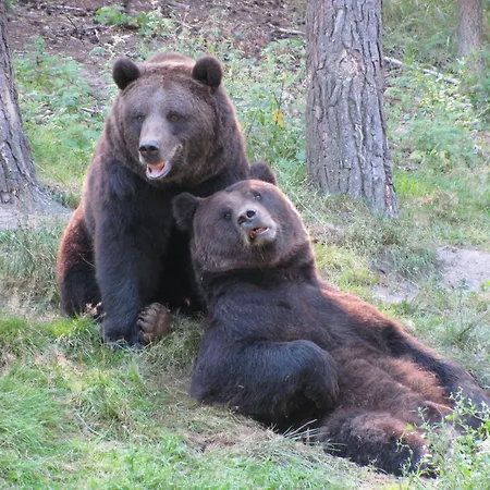 Gaestehaus Hess - Kleine Güstrow